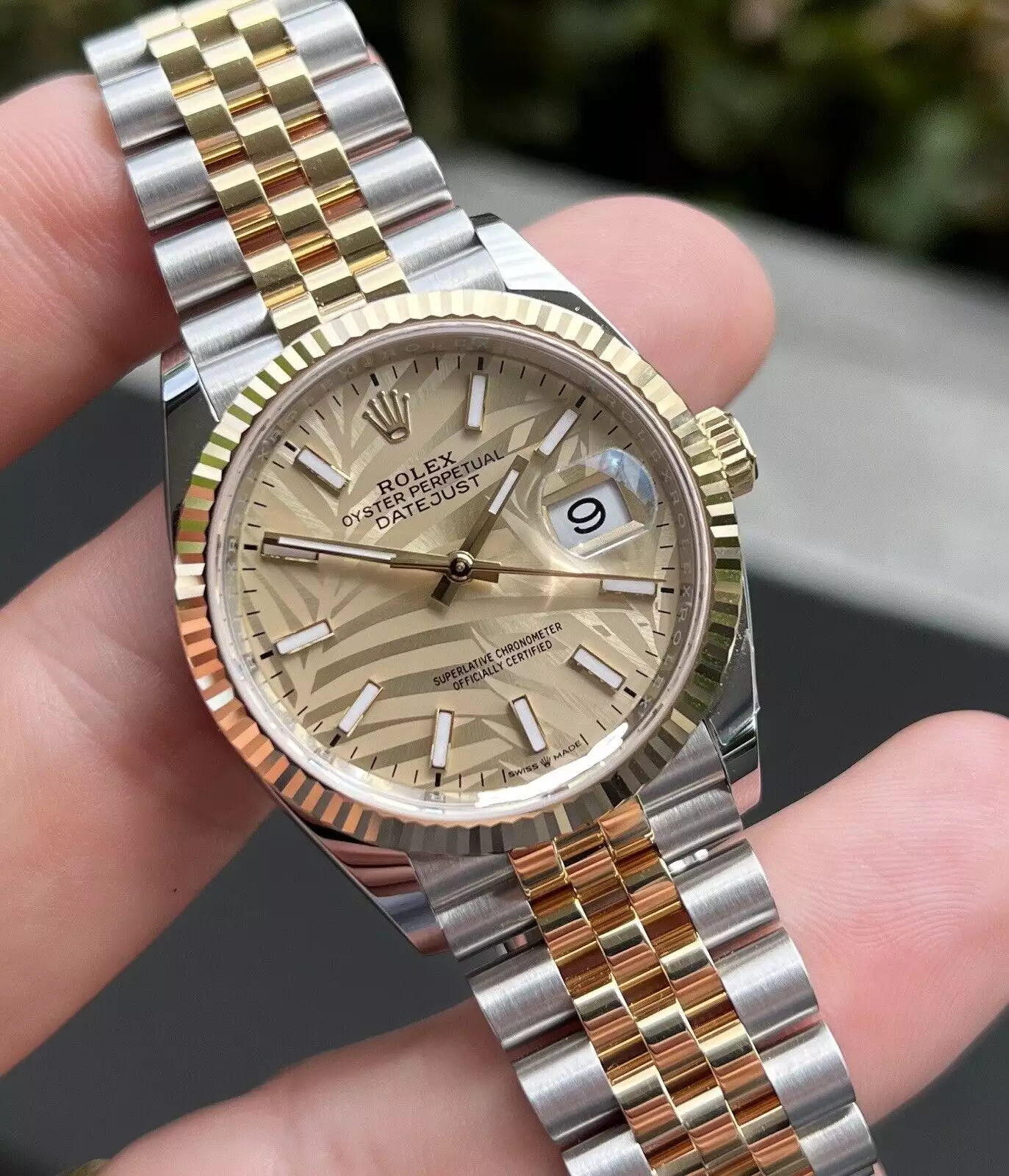 Rolex Datejust 36mm Two Tone Palm Dial 126233 ( Replica )